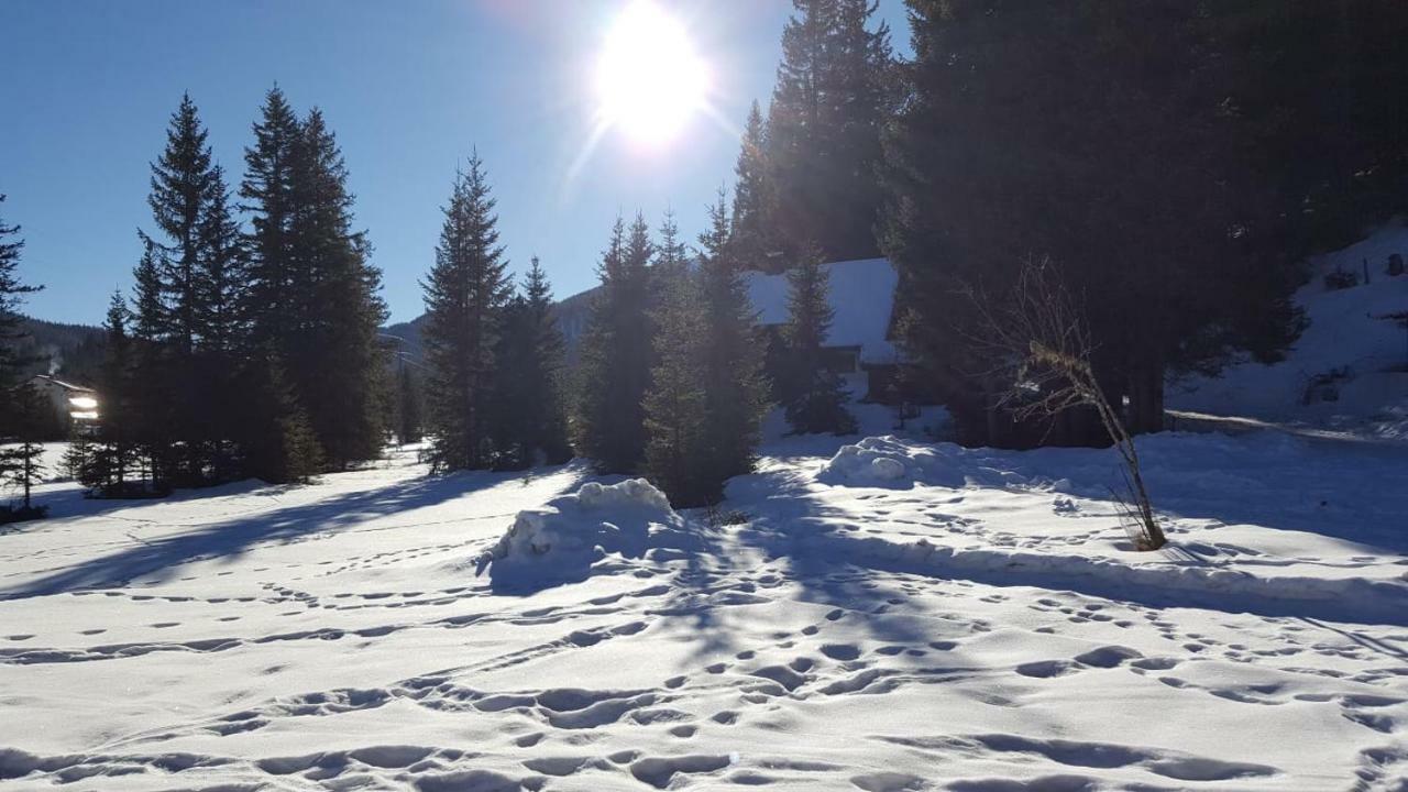 فيلا Auszeithuette Flattnitz المظهر الخارجي الصورة